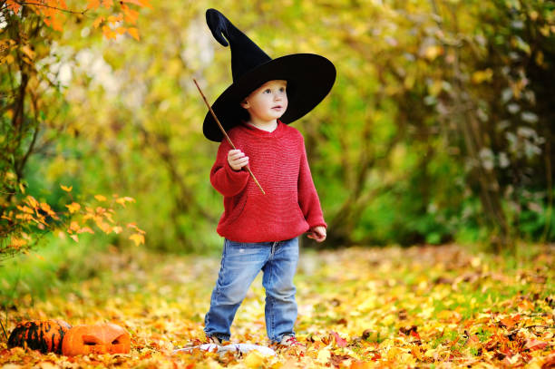 istock Toddler boy in pointed hat playing with magic wand outdoors 861387524