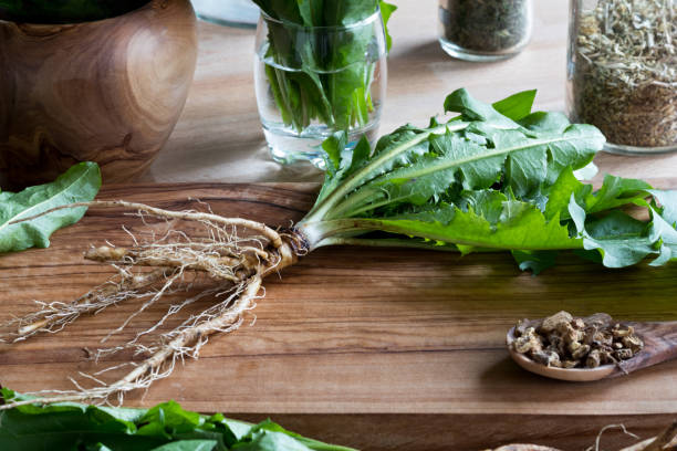 Salad with wild herbs - Salat mit Wildkräutern