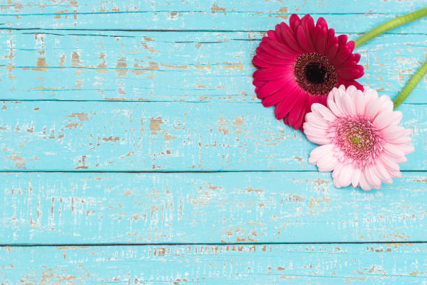 istock Flowers over wooden background 861404588