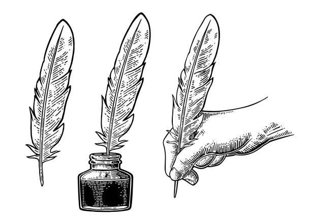 Inkwell and female hand holding a goose feather. Vector engraving Inkwell and female hand holding a goose feather. Vector black vintage engraving illustration for poster, label, banner, web. Isolated on white background holding feather stock illustrations