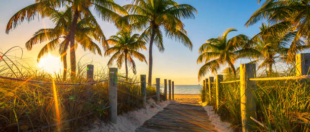 istock Passage to the beach at sunrise 861408794