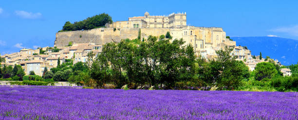 istock lavender field and old town of Grignan 861409662