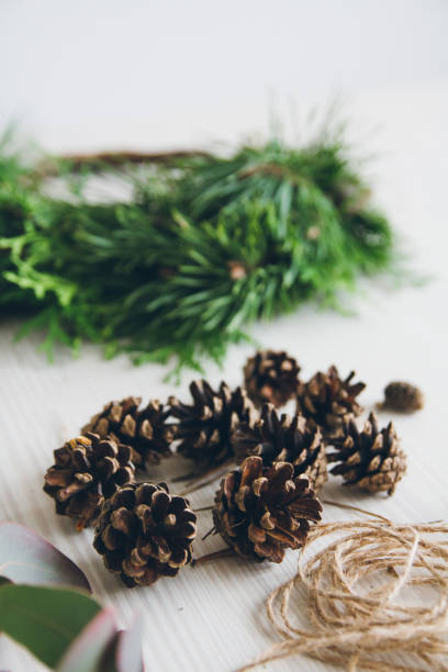 istock Florist decorator making Christmas wreath 861412158