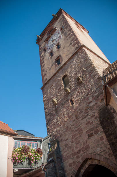 istock medieval tower in Ribauville 861416096