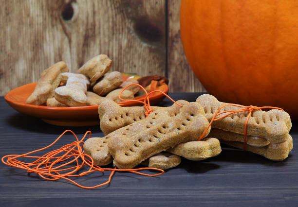 istock Bone shaped homemade pumpkin dogs cookies 861416340