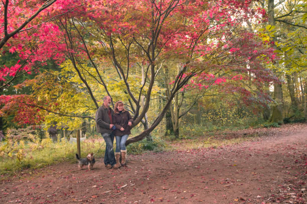 Mature adult Couple in autumn woodland stock photo