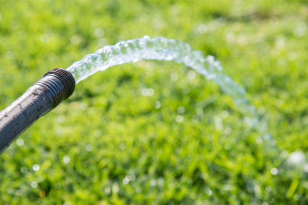 istock watering lawn with hose 861442934
