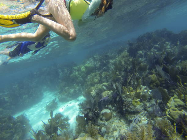istock Mother and son snorkeling. 861456000