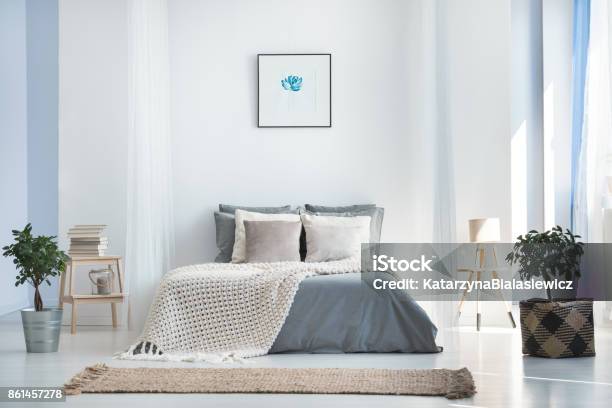 Interni Luminosi Della Camera Da Letto Con Piante - Fotografie stock e altre immagini di Camera da letto - Camera da letto, Blu, Letto