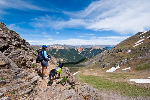 A young woman hiker and her companion dog look out over the San Juan Mountains from 12,000' Columbine Lake Pass in the San Juan National Forest near Silverton, Colorado, USA.