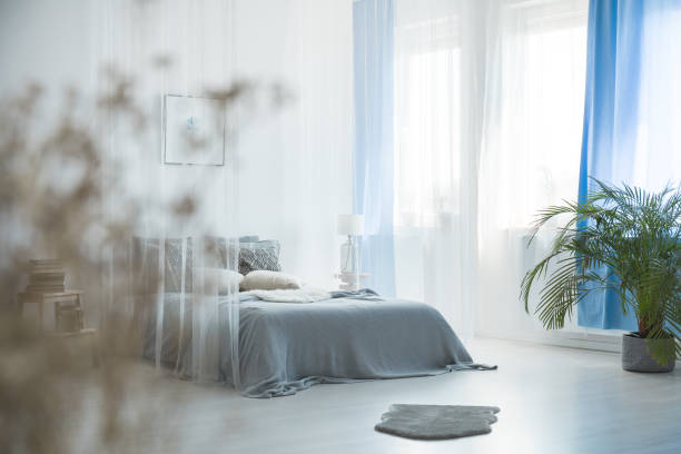 istock Grey fur in bedroom interior 861466994
