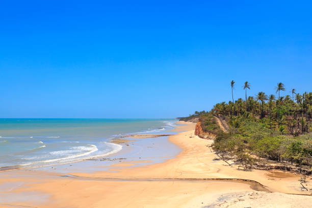istock Sunny Brazilian Beach in Bahia 861468130