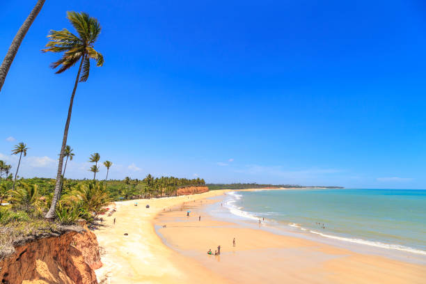 istock Sunny Brazilian Beach in Bahia 861468240