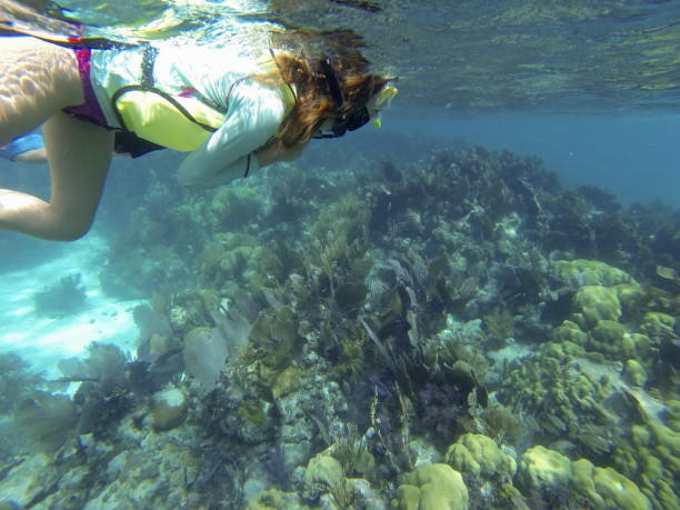 istock Woman snorkeling. 861473976