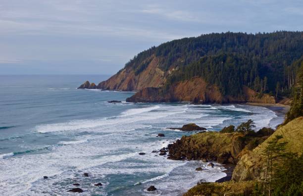 istock Lewis And Clark National Park 861477444