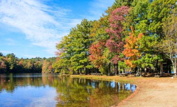 istock The beach in autumn 861477590