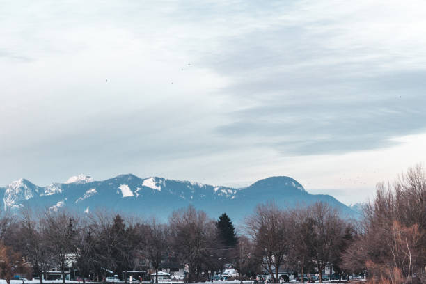 Trout Lake Frozen in Vancouver, BC, Canada Photo of Trout Lake Frozen in Vancouver, BC, Canada east vancouver stock pictures, royalty-free photos & images