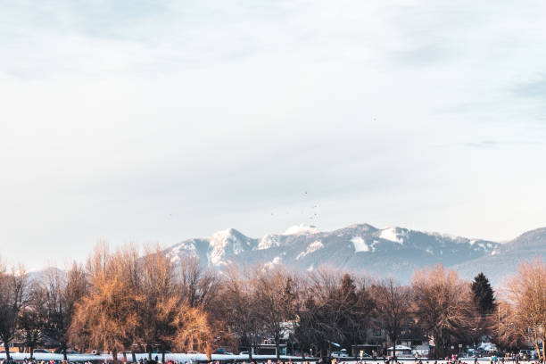 Trout Lake Frozen in Vancouver, BC, Canada Photo of Trout Lake Frozen in Vancouver, BC, Canada east vancouver stock pictures, royalty-free photos & images