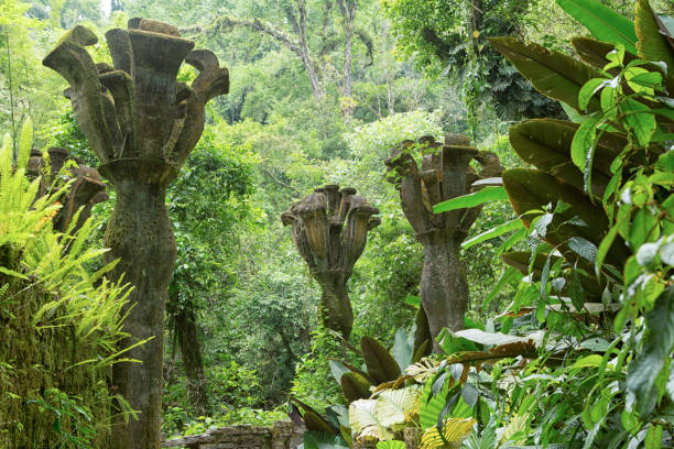 Xilitla, Mexico: Las Pozas gardens stock photo