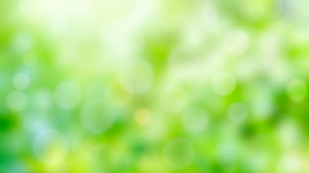 istock abstract bokeh blur green nature texture background 861496150