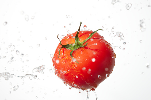 tomato on white with splash