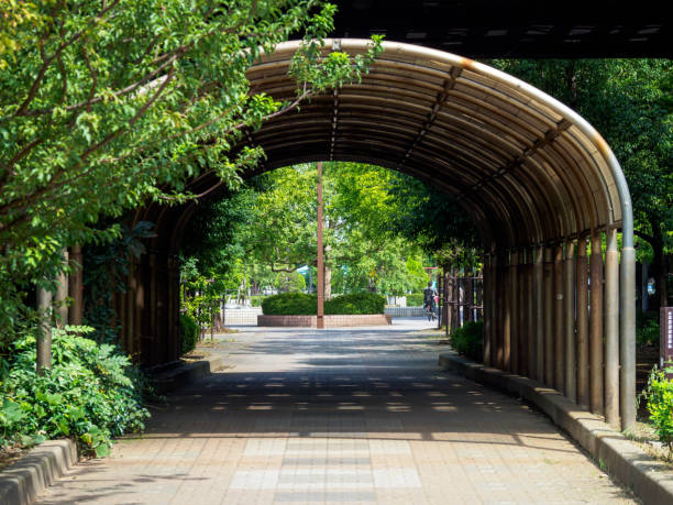 istock Park in Japan 861510960