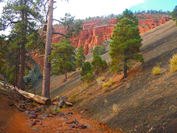 istock Swail in Red Mountain area. 861511046