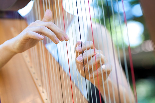 Woman Playing Harp Outdoors