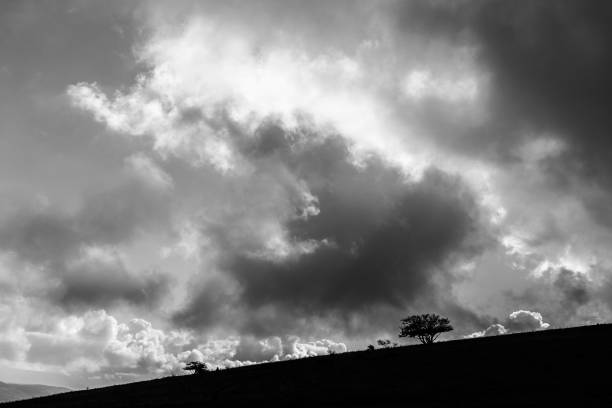 istock Some little tree and plant silhouettes on a hill against a  sky with big clouds 861514516