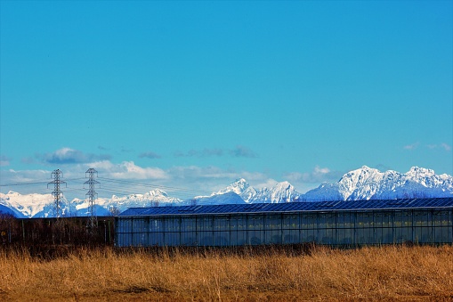 Greenhouse in farm with snow mountains in the back, adjacent to two power transmission towers in Delta, British Columbia, Canada