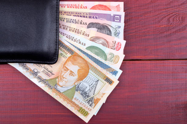 istock Black wallet with Honduran money 861521214