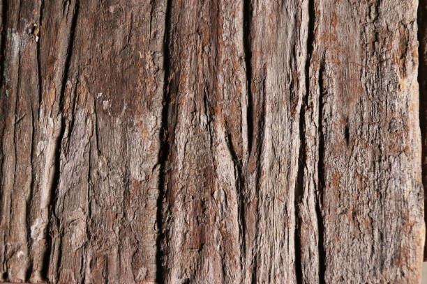 istock Old grungy wood planks background texture. 861530064
