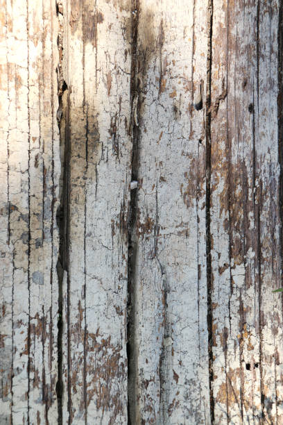 istock Old grungy wood planks background texture. 861530542