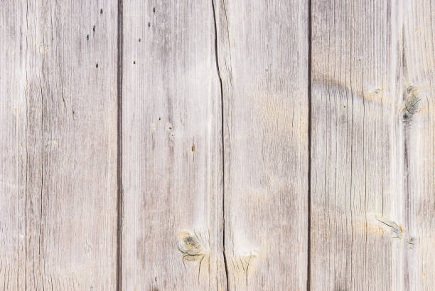 istock Old gray weathered wood 861531510