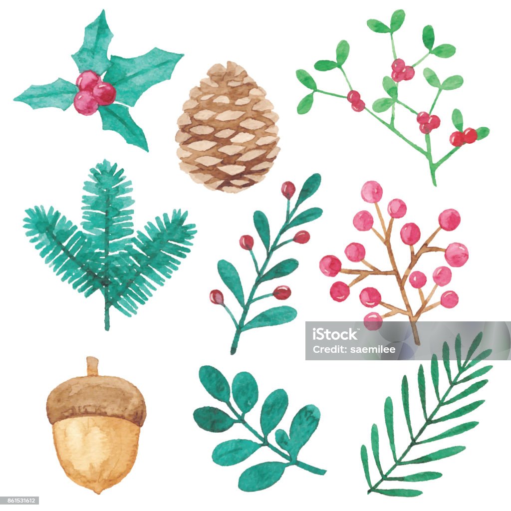 Watercolor Winter Plants Design Elements Vector illustration of watercolor painting. Watercolor Paints stock vector