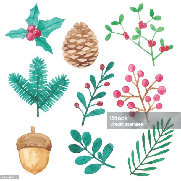 Watercolor Winter Plants Design Elements Stock Illustration - Download Image Now - Watercolor Paints, Watercolor Painting, Christmas