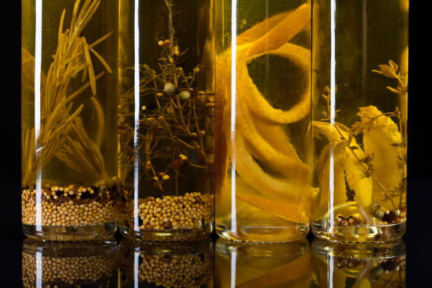 Olive oil with different spices and herbs.