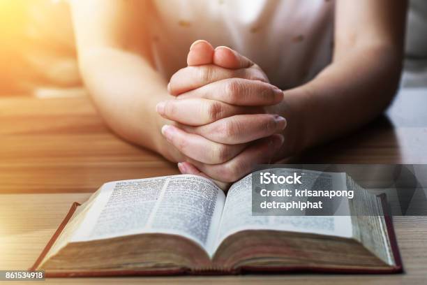 Women Reading Holy Bible Stock Photo - Download Image Now - Bible, Praying, Studying