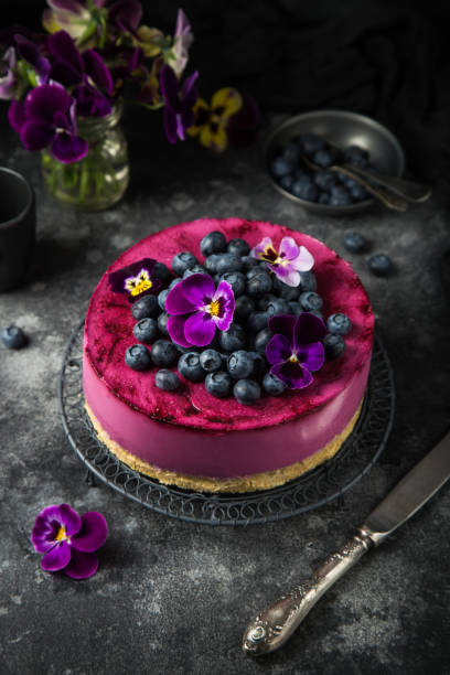 no baked blueberry cheesecake on dark background