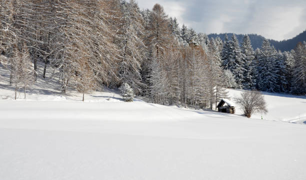 stara drewniana chata słoneczny zimowy dzień w tyrolu, austria - tirol north tirol hut shack zdjęcia i obrazy z banku zdjęć