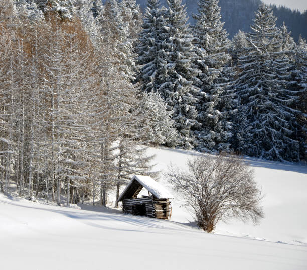 stara drewniana chata słoneczny zimowy dzień w tyrolu, austria - tirol north tirol hut shack zdjęcia i obrazy z banku zdjęć