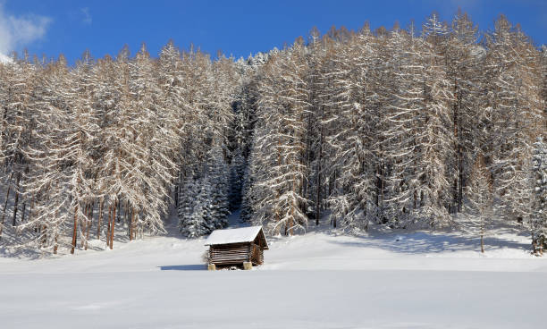 stara drewniana chata słoneczny zimowy dzień w tyrolu, austria - tirol north tirol hut shack zdjęcia i obrazy z banku zdjęć