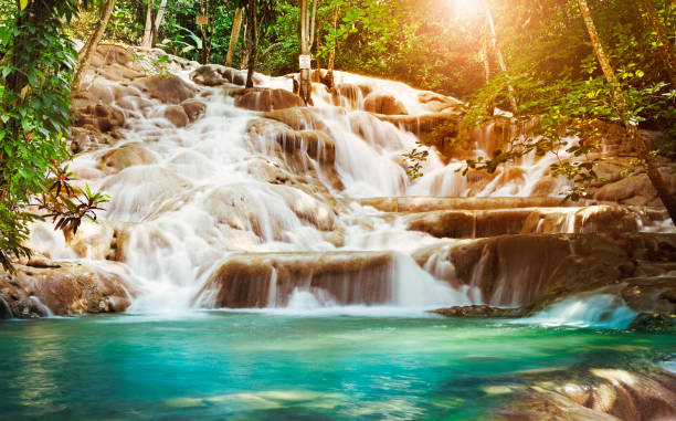 dunn's river falls in jamaica - mineral waterfall water flowing imagens e fotografias de stock