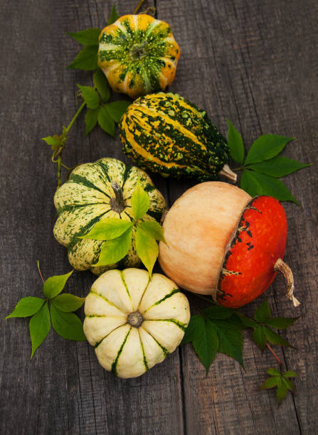 istock Pumpkins with autumn leaves 861549750