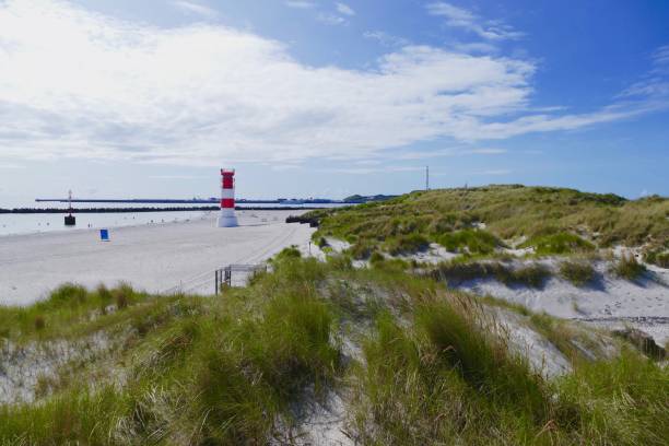 Sand dunes and grass at the north sea, Helgoland