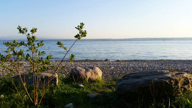 ハーグナウ周辺ボーデン湖の夕日 - hagnau ストックフォトと画像