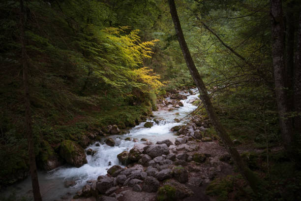 istock Partnach Gorge in Alps 861561346