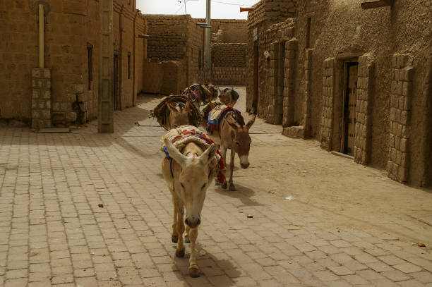 Street view in Timbuktu, Mali -July, 2009 stock photo