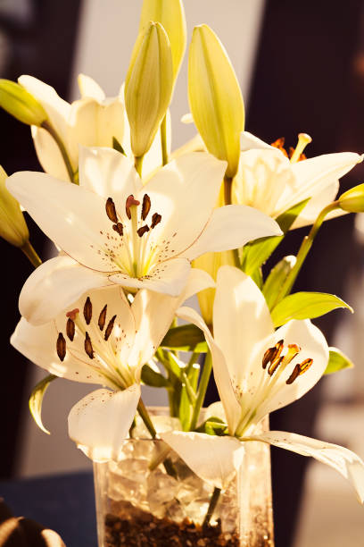 istock ikebana of orchids 861572566