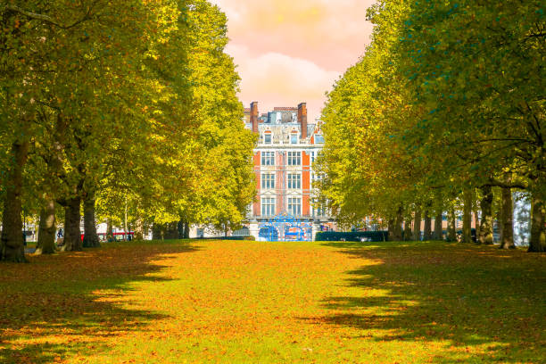 istock Avenue lined with trees in Green Park, London during sunset 861576398